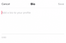 TikTok tap to add bio