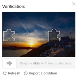 TikTok Verification