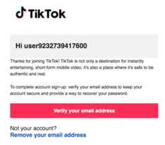 TikTok verify your email address