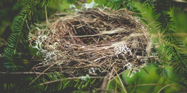 10 Great Strategies to Overcome Empty Nest Syndrome