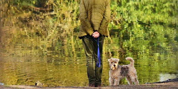 What Is Pet Therapy? Is It Right for You?