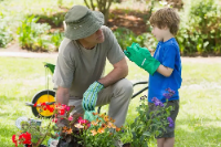 View of a grandfather and grandson engaged in gardening (1) (1)