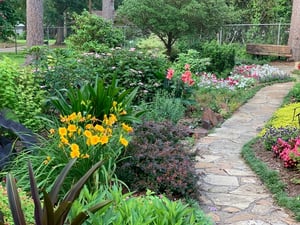 backyard path 