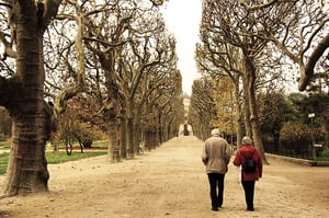 older couple walking together in the park 