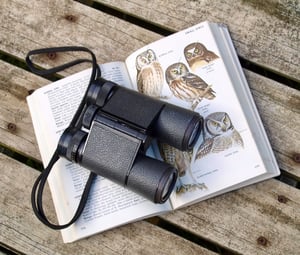 binoculars and bird identification book