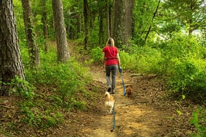 older woman walking with dog in the woods