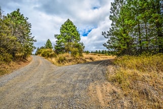 fork in the dirt road