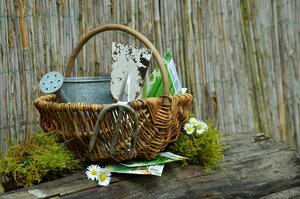 garden basket tools