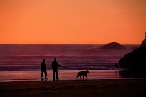 older couple walking outside on the beach with a dog 
