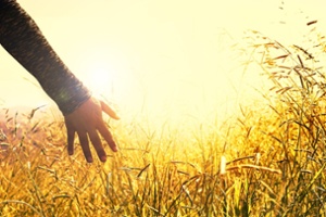 hands-2667461_1920-1