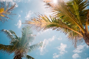 jorge-vasconez-CpeUoLVTAs8-unsplash-1