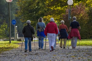nordic-walking
