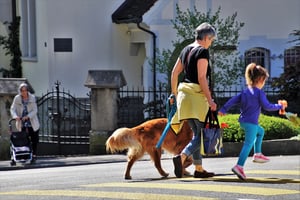 walking dog grandmother