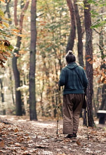 walking in the woods